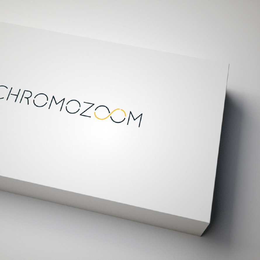 Packaging design for Chromozoom.